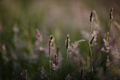 Facebook将开始在VR游戏中测试广告